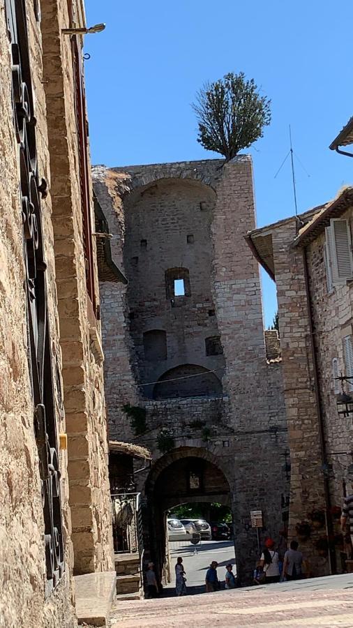 Francesco House Family Apartment Assisi Bagian luar foto